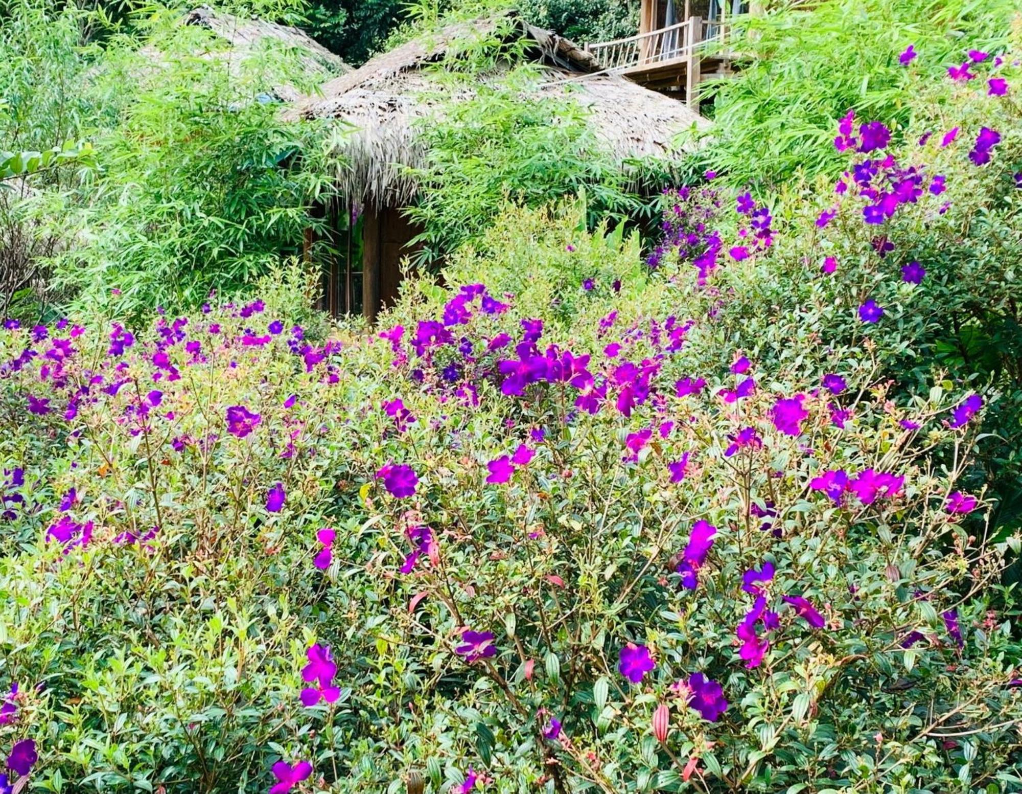 Pu Luong Cuisine Garden Homestay Lang Bang Ngoại thất bức ảnh
